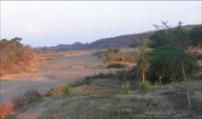 The Zongwe River, a tributary to the Zambezi during the dry season