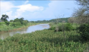 The Zongwe River, a tributary to the Zambezi during the wet season