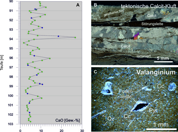 A: Variation des CaO-Gehalts in der Bohrung Frielingen-9 mit der Teufe.   B: Tektonische Calcit-Kluft aus der Bohrung Scharrel-10.  C: Dünnschliff einer Valanginium-Probe aus der Bohrung Frielingen-9 mit Fossilresten, Calcit und Pyrit.