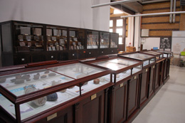Ausstellungsbereich  mit Naturwerksteinplatten und Rohstoff-thematisch gestalteten Vitrinen (Bild anzeigen)