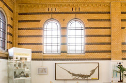 Foyer mit Abdruck eines Skelettes von Mystriosaurus bollensis JÄGER aus Holzmaden (Bild anzeigen)