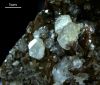 Nahaufnahme der Analcim-Kristalle aus der Tongrube Duingen