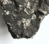 Messelit – Seltenes Mineral aus der Grube Messel